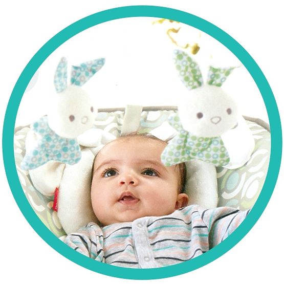 Babywippe Fisher Price Comfort Curve Deluxe