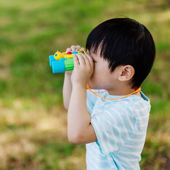 Blaugrünes Fernglas - Schmetterling