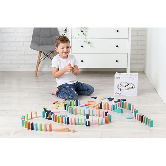 Buntes Domino Adam Toys