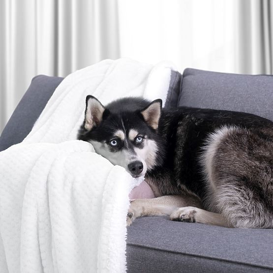 Decke SHLEEPY Farbe Weiß mit Jacquardmuster klassischer Stil 130x180