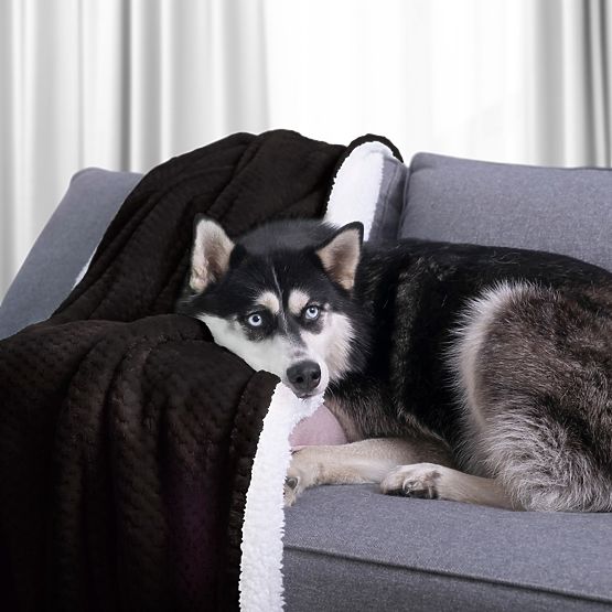 Decke SHLEEPY schwarz mit Jacquardmuster klassischer Stil 130x180