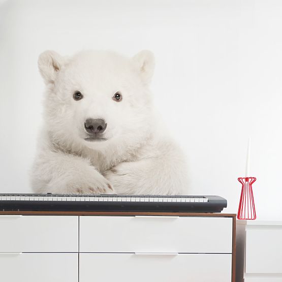 Dekoration  Wand DEKORNIK - eis teddybär
