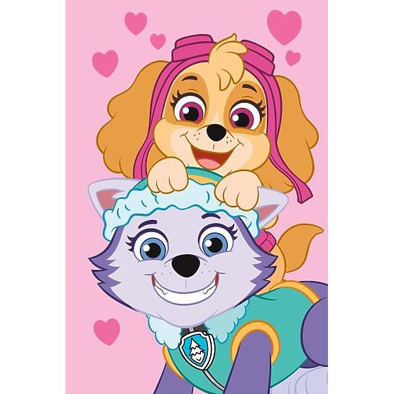 Fleecedecke Paw Patrol - Skye und Everest