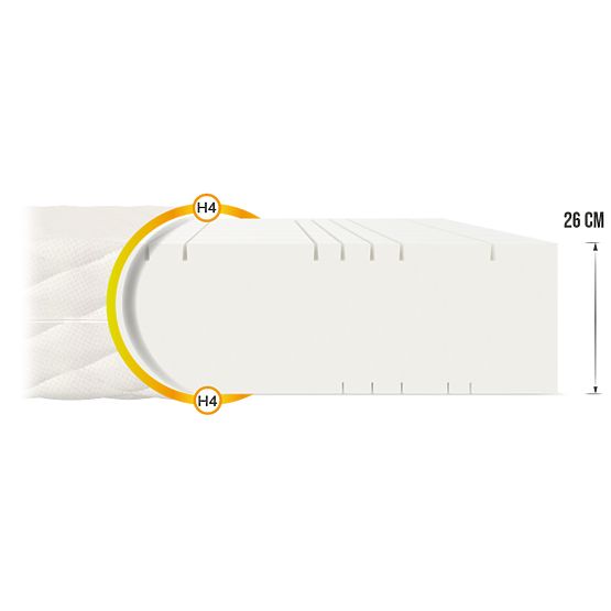Goya Max Plus Schaumstoffmatratze 120 x 200 cm
