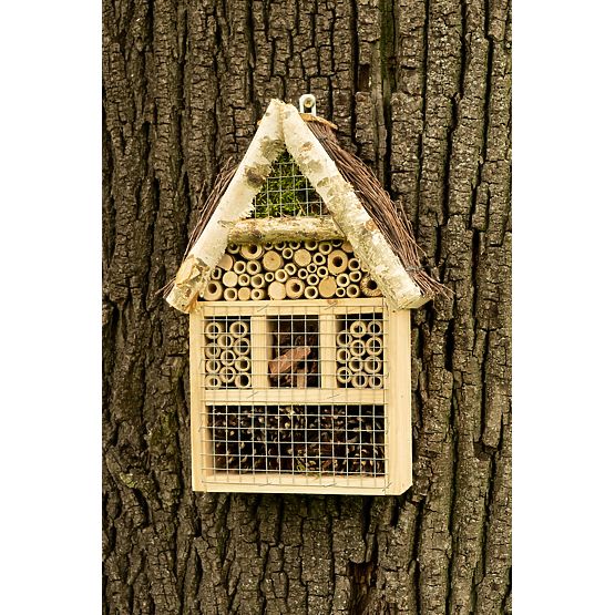 Insektenhaus fliegen