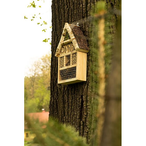 Insektenhaus fliegen