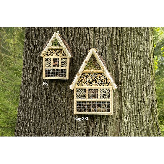 Insektenhaus fliegen