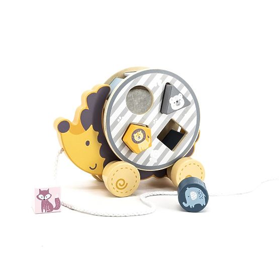 Igel mit Sortierer zum Ziehen Polar B