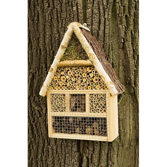 Insektenhaus - Hotel XXL