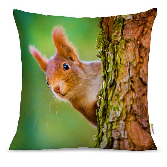 Kissen EICHHÖRNCHEN 01