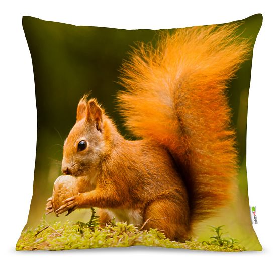 Kissen EICHHÖRNCHEN 02