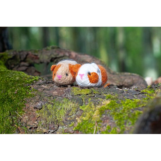 Kit zum Filzen - Meerschweinchen