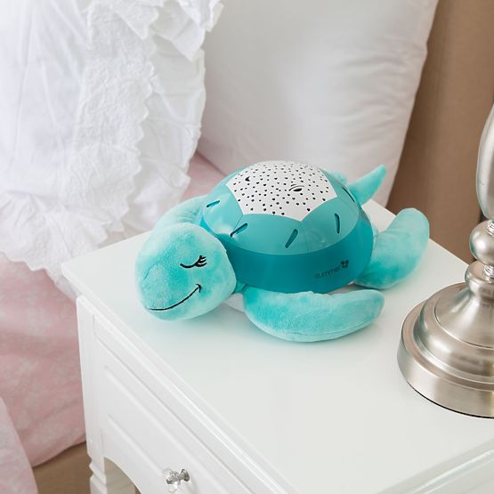 Kumpel   - shieldkröte