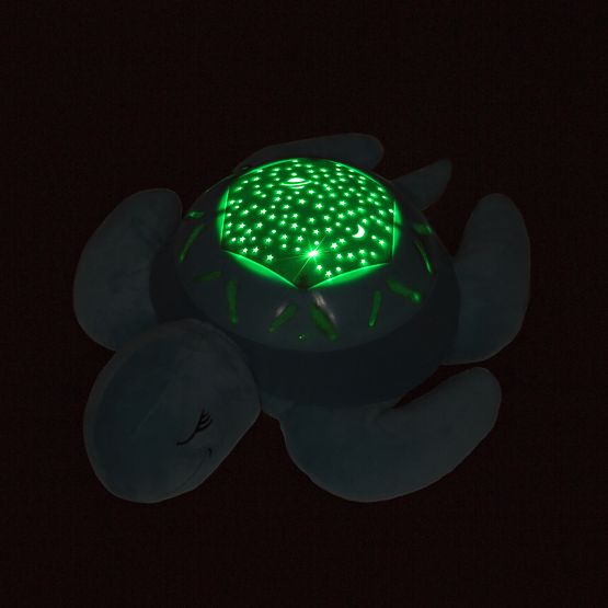 Kumpel   - shieldkröte