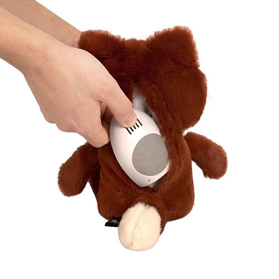 Orangefarbener Fuchs mit Herzschlag FLOW