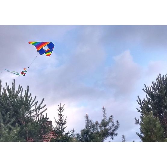 Fliegender Drache - Regenbogen