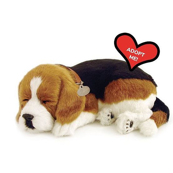 Perfect Petzzz Atmender Welpe Beagle