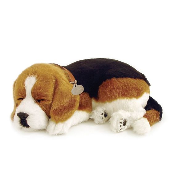 Perfect Petzzz Atmender Welpe Beagle