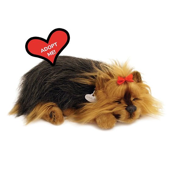Perfect Petzzz Schnarchender Yorkie Welpe