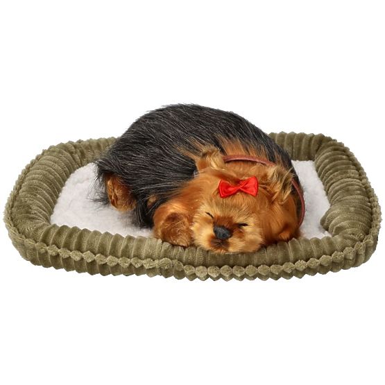 Perfect Petzzz Schnarchender Yorkie Welpe