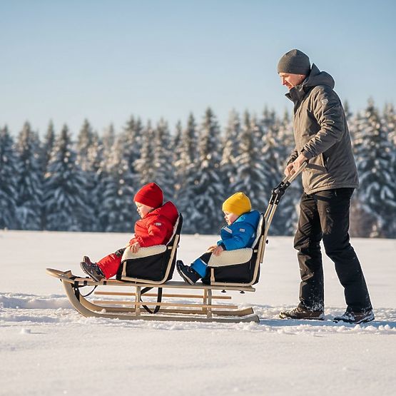 Schlitten für Zwillinge Duo - schwarze Sitzfarbe