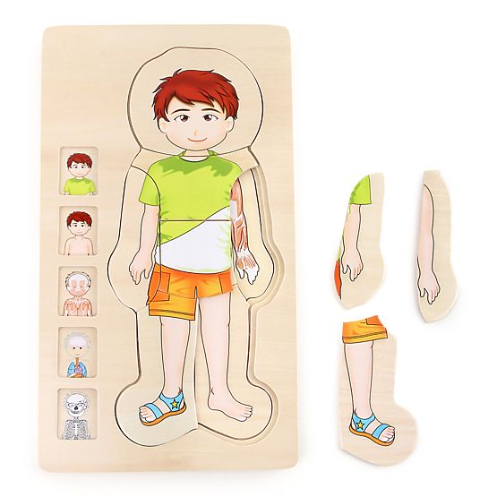 Small Foot Holzspielzeug Puzzle Anatomie Tim