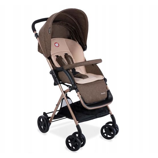 Sport- Kinderwagen LIONELO Lea