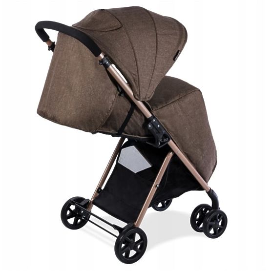 Sport- Kinderwagen LIONELO Lea
