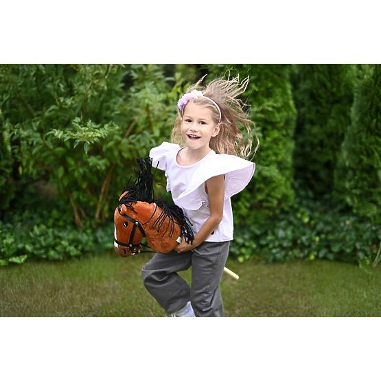 Steckenpferd Hobby Horse Gniadek