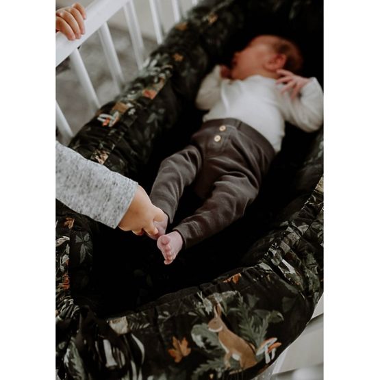 umkehrbar nest Život in wald