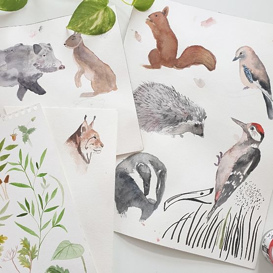 umkehrbar nest Život in wald