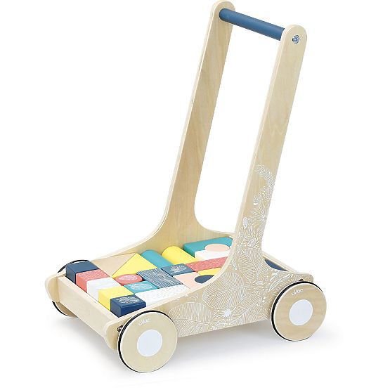 Vilac Holzlauflernwagen mit bunten Bausteinen Canopée