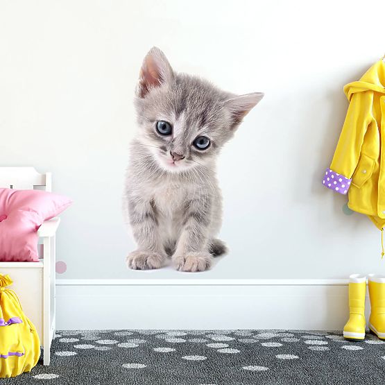 Wandaufkleber - Kätzchen