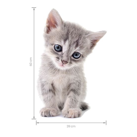 Wandaufkleber - Kätzchen