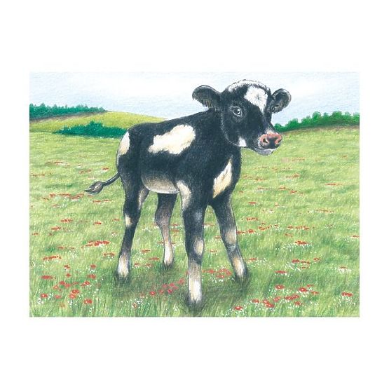 Würfelpuzzle mit Schaf