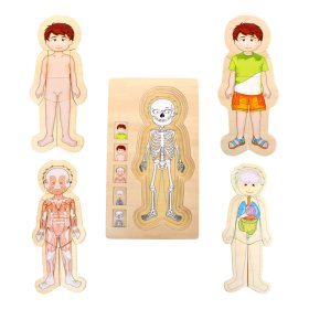 Small Foot Holzspielzeug Puzzle Anatomie Tim, small foot