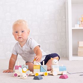 Bigjigs Baby Holzspielzeugzug mit Tieren, Bigjigs Toys