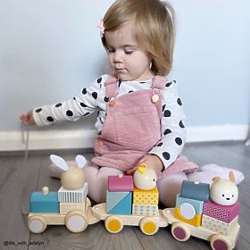 Bigjigs Baby Holzzug mit Tieren - beschädigte Verpackung