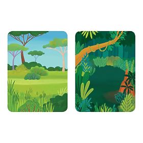 Mudpuppy Magnet-Set Wilde Tiere, Mudpuppy
