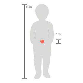 small foot Schneideset Obst Fresh