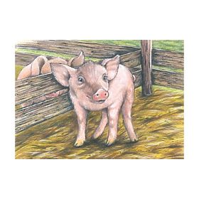 Würfelpuzzle mit Schaf